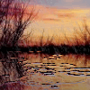 image file name: 2kdb31584f23.gif