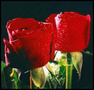 image file name: 2kdb532c66bd.jpg