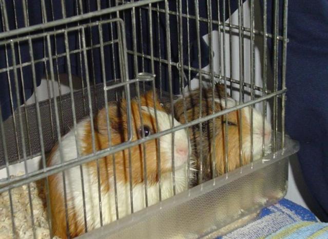 image file name: 2kdc431beaff.jpg
