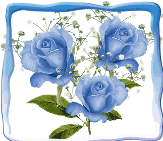 image file name: 2kdc77453b2e.gif