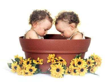 image file name: 2kddba3d0ae3.jpg