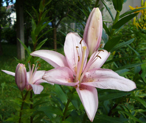 image file name: 2kdf3b3226e3.jpg