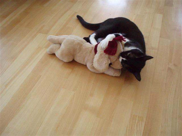 image file name: 2kdfe4355cef.jpg