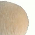 image file name: 2ke084278711.jpg