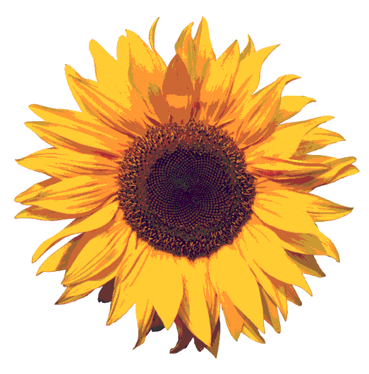 image file name: 2ke3e70c10da.gif