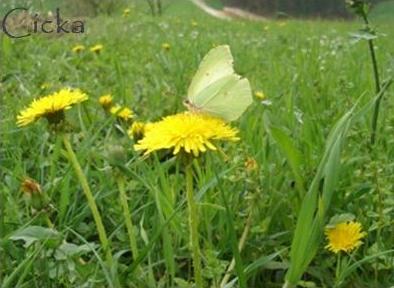 image file name: 2ke9e7343a61.jpg