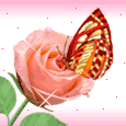 image file name: 2kec1f7fa4dd.gif