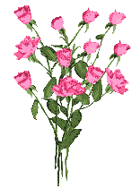 image file name: 2keed352914a.gif