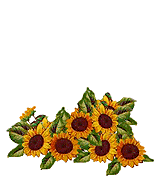 image file name: 2kf0be8089b2.gif