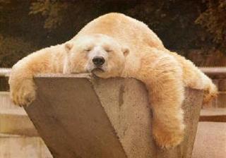 image file name: 2kf12d1d811e.jpg