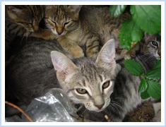 image file name: 2kf3a22901da.jpg