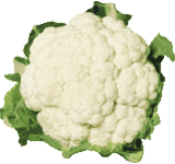 image file name: 2kf43d0ff9d4.gif