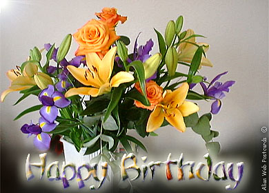 image file name: 2kf47872963d.jpg
