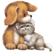 image file name: 2kfb4b555f8c.gif