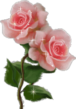 image file name: 2kfd2fe5dd74.gif
