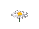 image file name: 2kfff28e7590.gif